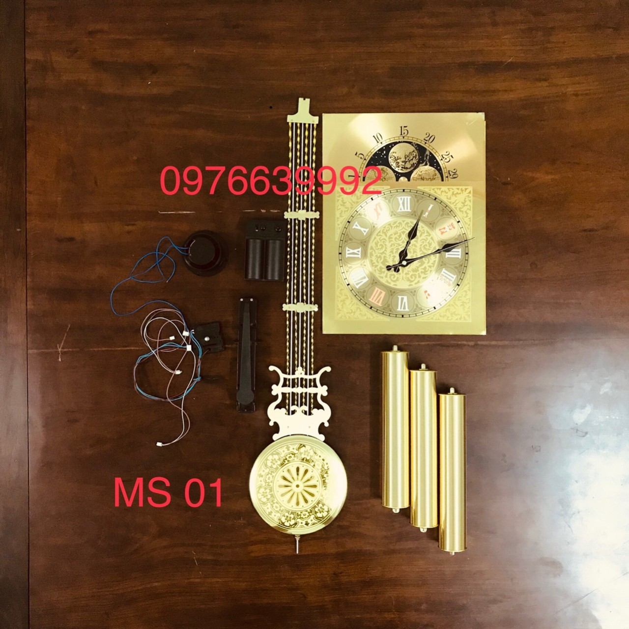 [HCM]Máy đồng hồ cây sunny