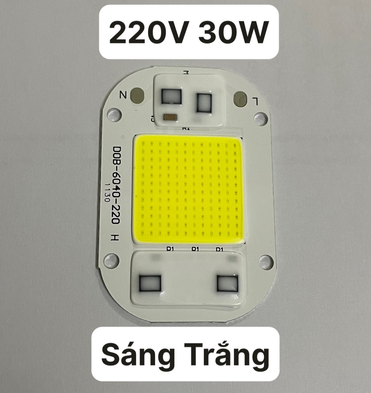 Chíp Led Trực Tiếp 220V 30W (Không dùng Driver)