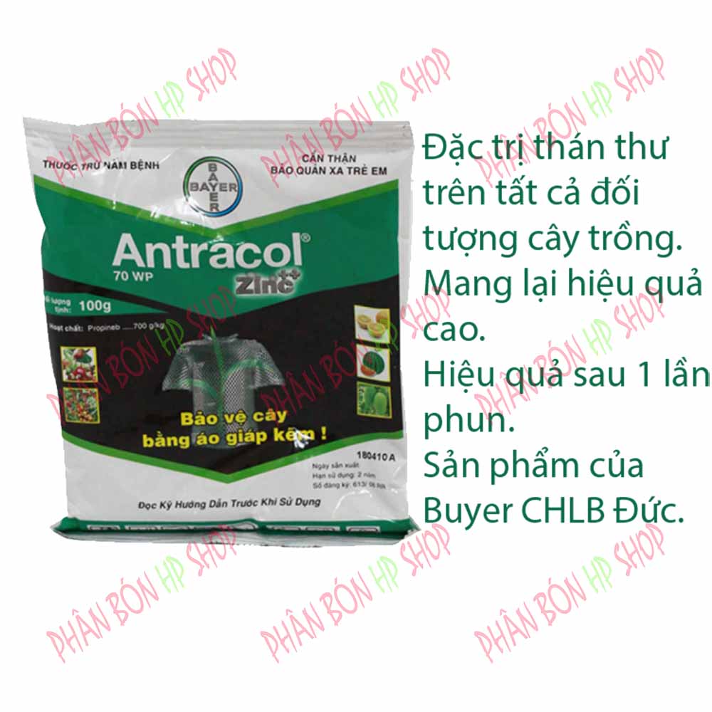 Antracol 70WP Th uốc phòng và tr ị b ệnh do nấm trên nhiều loại cây trồng: Cây ăn trái rau màu hoa kiểng phong lan với hoạt chất tiên tiến Propineb