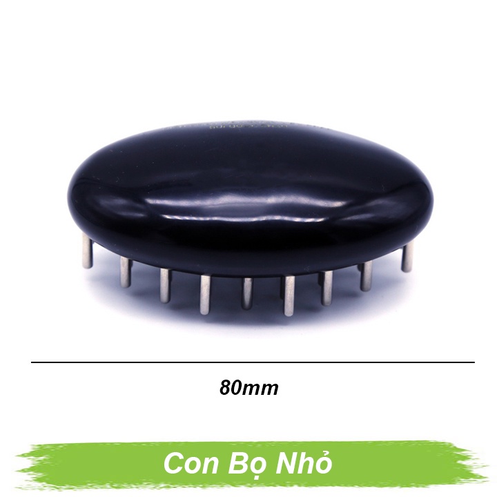 Con bọ nhỏ diện chẩn Dụng cụ diện chẩn