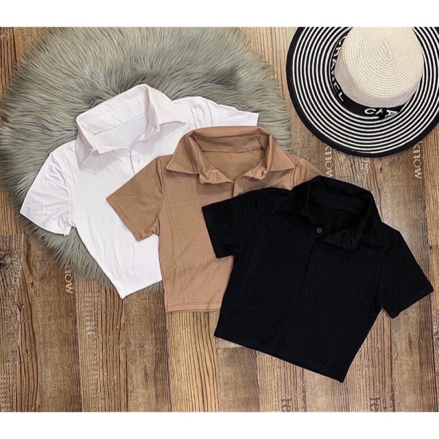 ✅croptop body cổ bẻ trơn