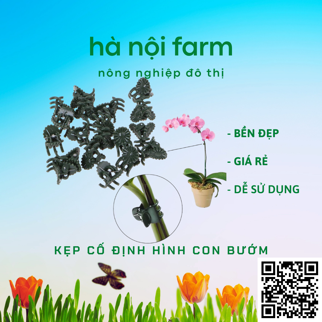 100 kẹp bướm cố định cho lan