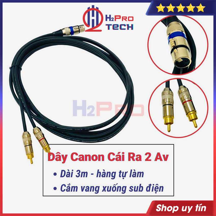 Dây canon cái ra 2 đầu av bông sen dài 3m cắm vang xuống sub điện, hàng tự làm lõi đồng dày, đầu mạ vàng - h2pro tech