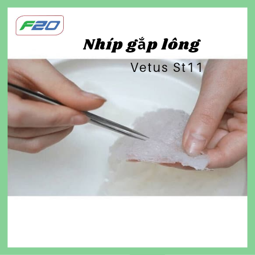 2 Chiếc nhíp nhặt lông tổ yến - Nhíp Vetus - Dùng nối mi, gắp lông tổ yến