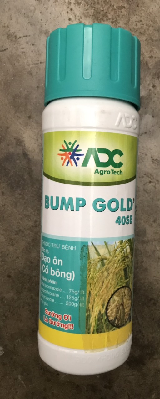 Bump Gold 40SE chai 240ml Trừ Đạo ôn cổ Bông, Lem lép hạt
