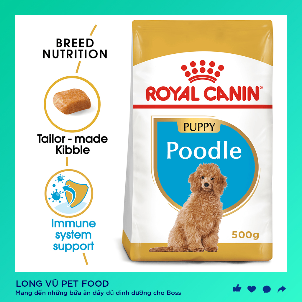 ROYAL CANIN POODLE JUNIOR ( 500g) Thức ăn cho chó con dưới 12 tháng tuổi - Thức ăn cho Poodle - Long Vũ Pet Food