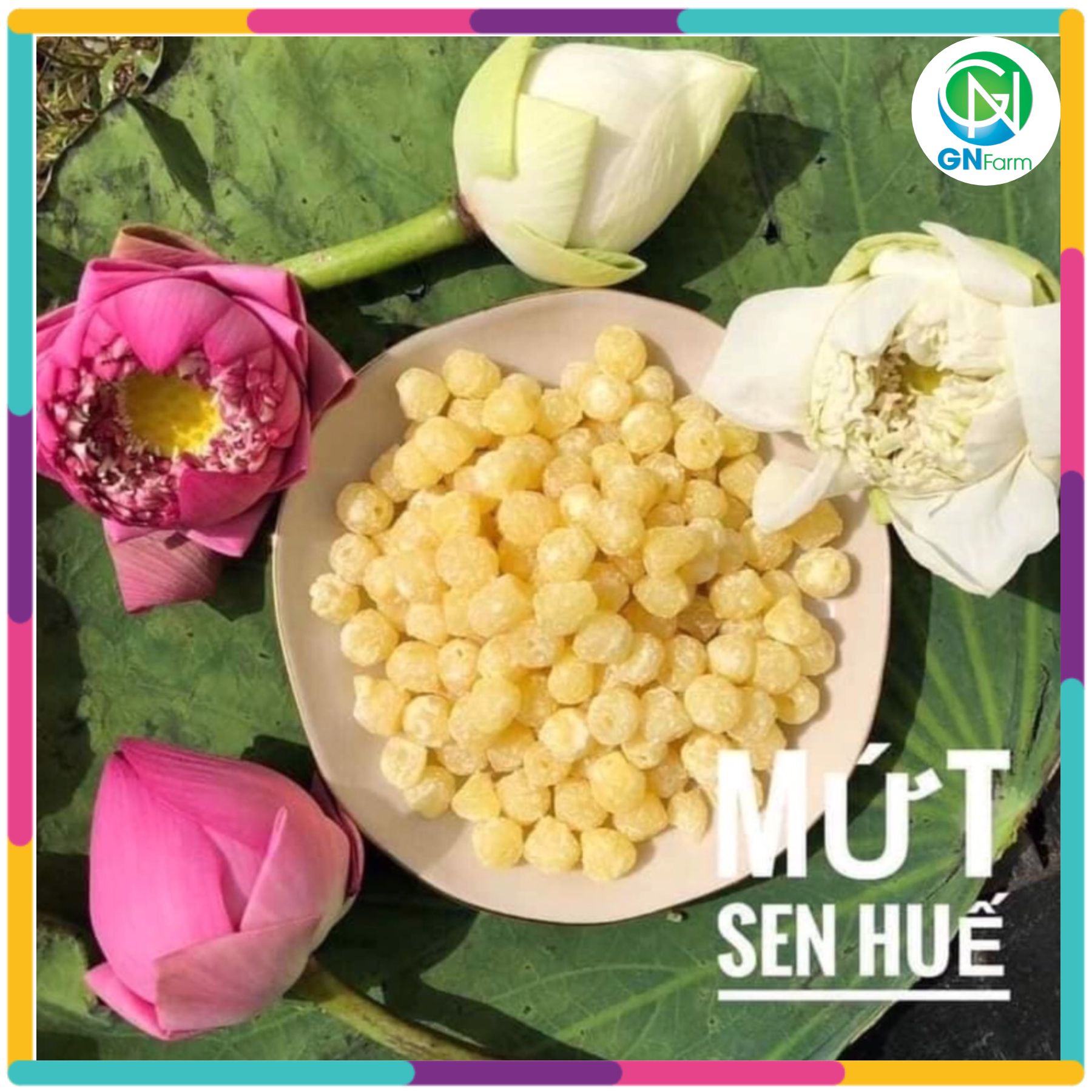 Mứt hạt sen huế mứt hạt sen ngon ngọt dẻo bùi chuẩn vị huế loại đặc biệt