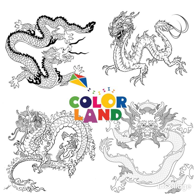 Set Tranh Tô Màu Giá Rẻ Tháng 8,2023|Biggo Việt Nam