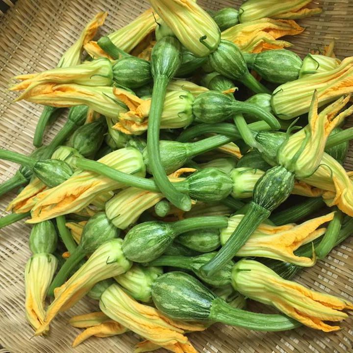 Hạt giống bí nụ ăn non giòn, ngọt