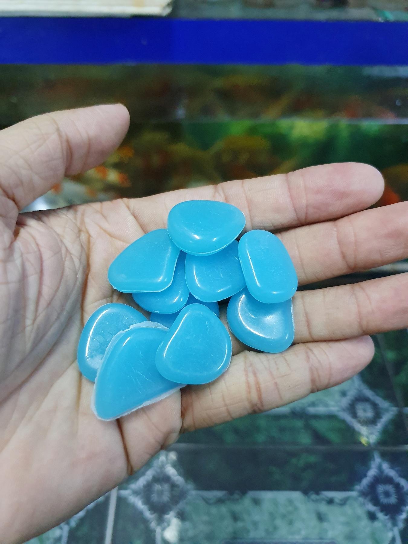 "Hoàn tiền đến 10%" 10 VIÊN ĐÁ DẠ QUANG XANH DƯƠNG TRANG TRÍ HỒ CÁ NON BỘ