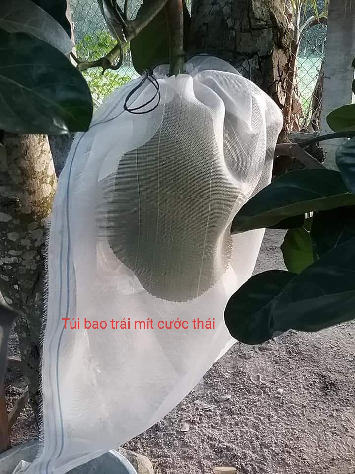 100 túi lưới bọc mít (cước thái) 50x70
