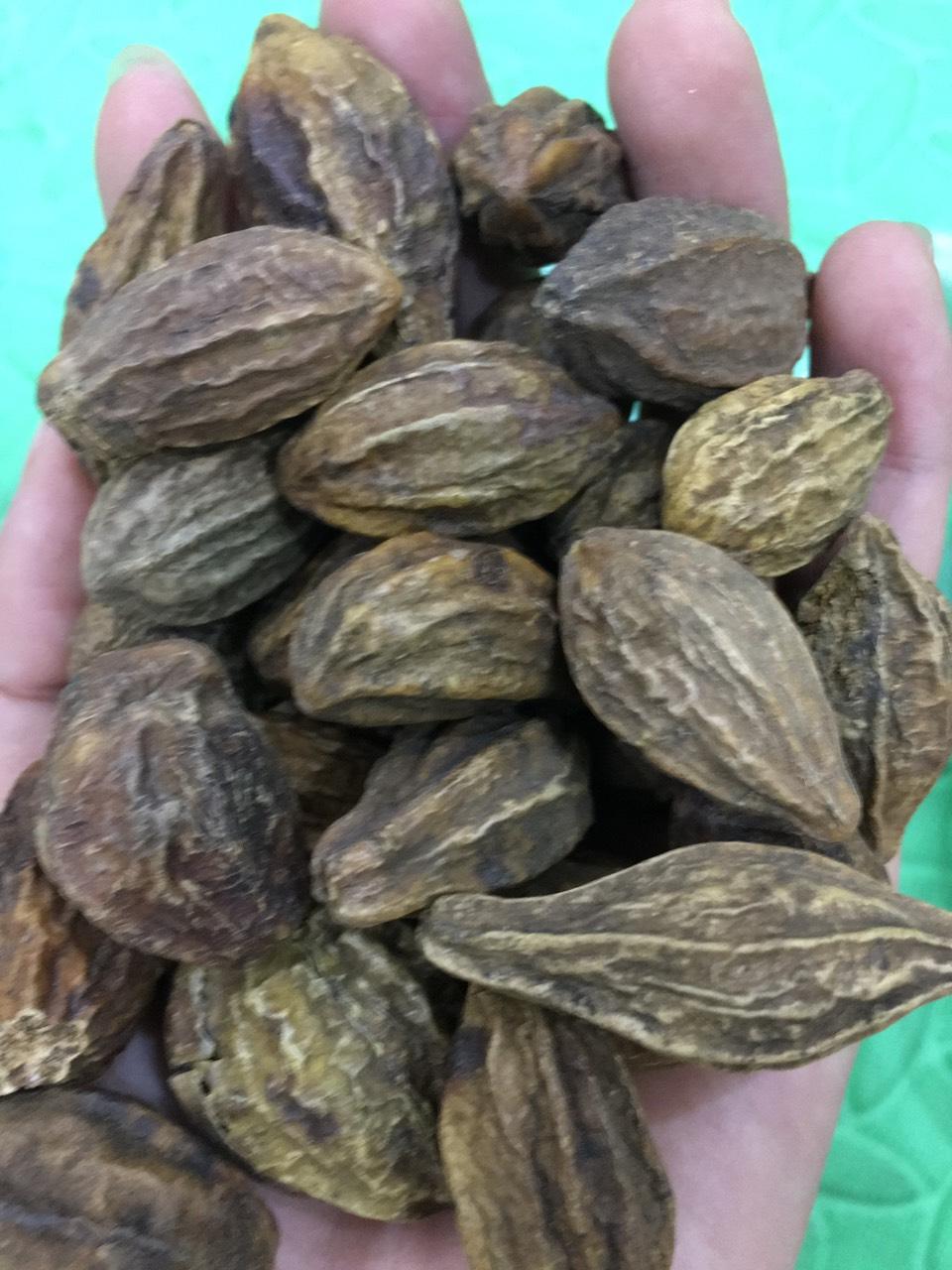 Quả kha tử