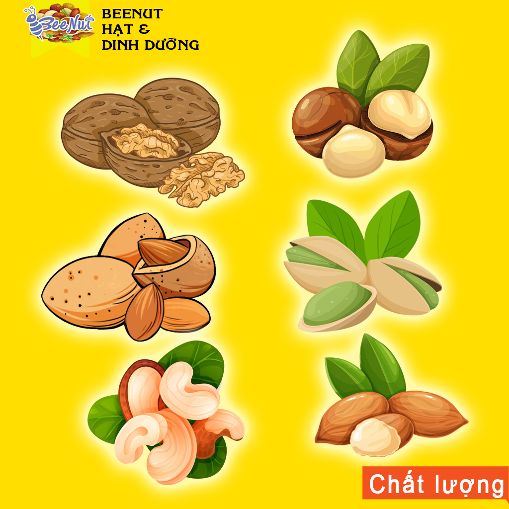 Tổng hợp các loại hạt dinh dưỡng - Macca quả óc chó hạnh nhân hạt bí hạt dẻ cười hạt điều rang muối - BeeNut