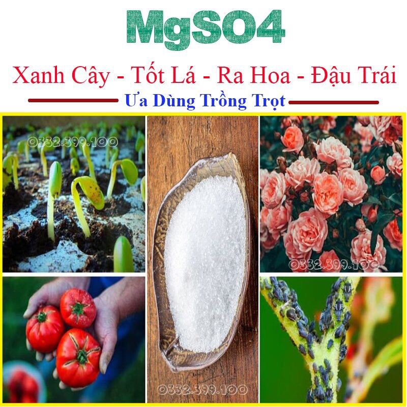 1kg Phân Bón Muối Magie Tốt Cây Xanh Lá gói chiết 1kg