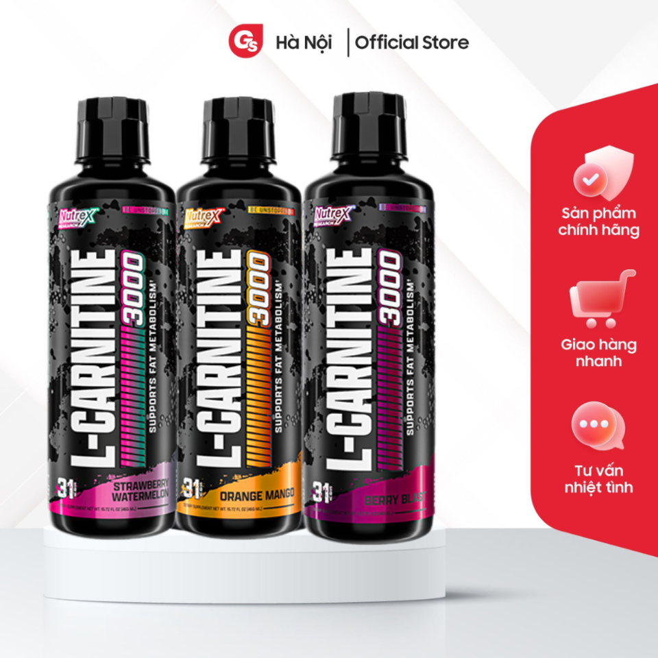 bulk l carnitine in vietnamese IFN IFORCE NUTRITION COMPLETE BCAAs EAAs Electrolytes L-Carnitine 40 Servings Each bottle contains 500 servings Why are People Adding L-Carnitine