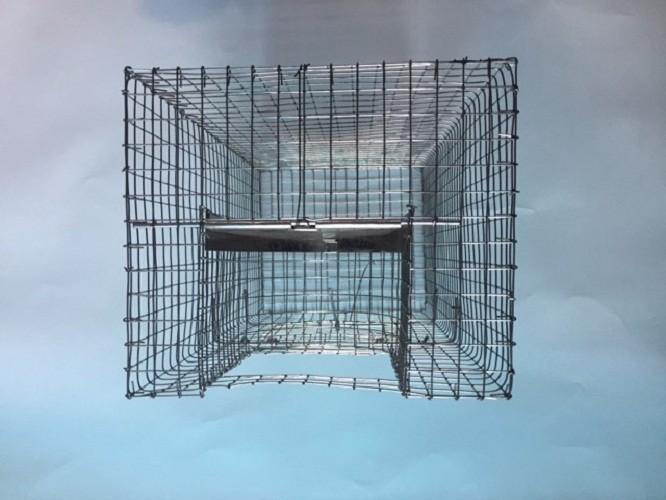 Bẫy Chuột Cả Dòng Họ, Chuột Không Lối Thoát, Mô Hình Bẫy Kiểu Mới, Bẫy Nhiều Con