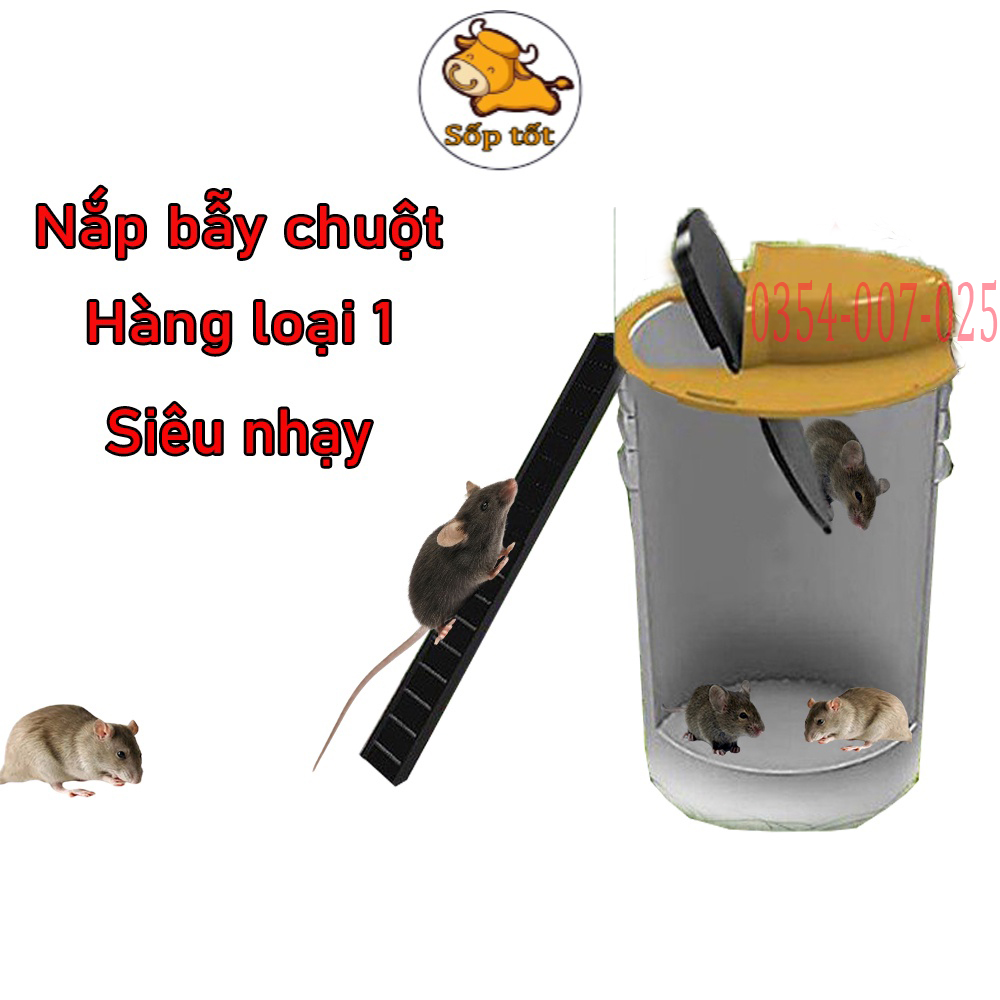 Bẫy chuột bập bênh thông minh siêu bắt chuột loại mới sk416