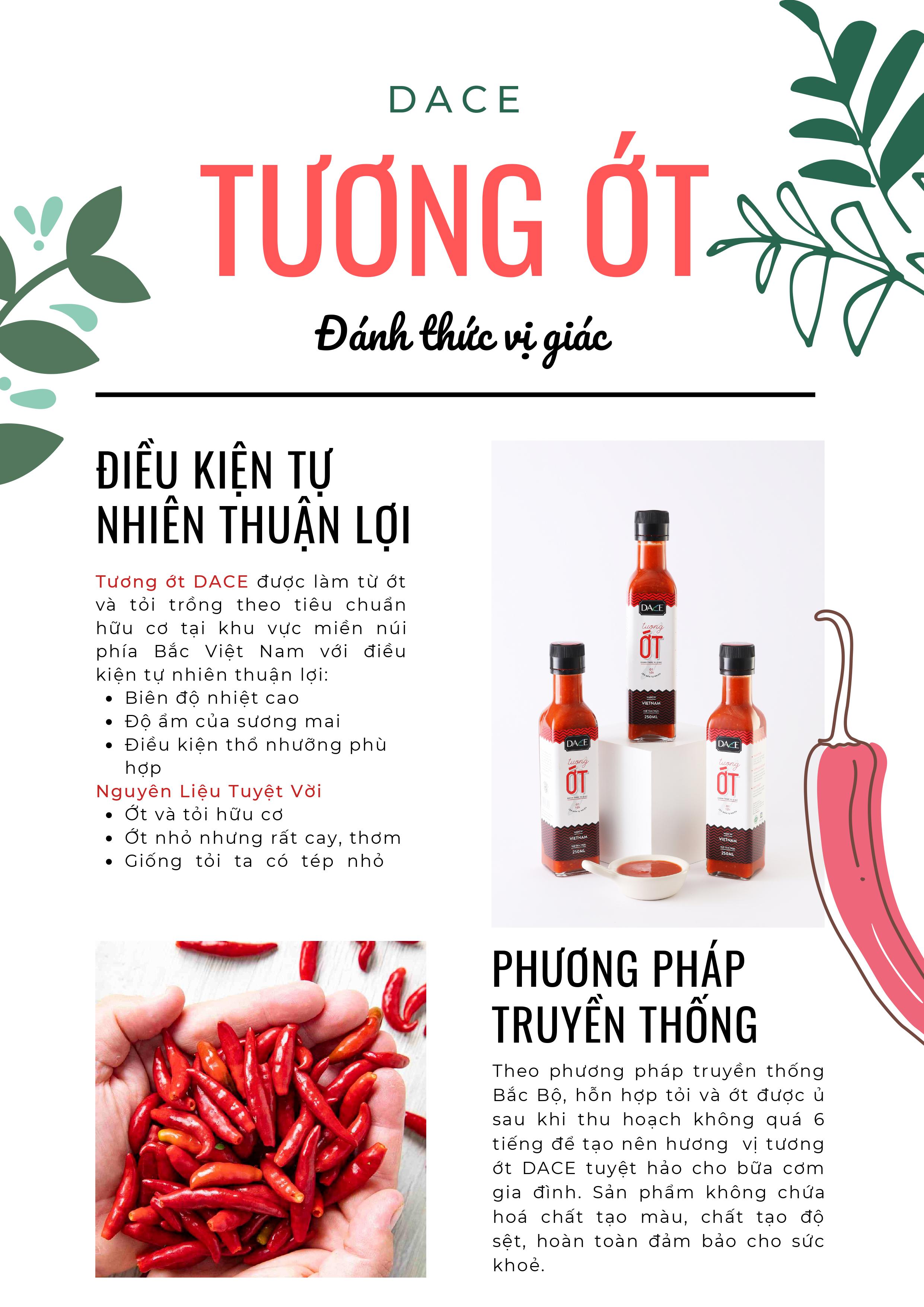 Combo 3 Tương Ớt Cay Cao Bằng DACE Việt Nam - Vị Cay Thơm Nồng khó cưỡng