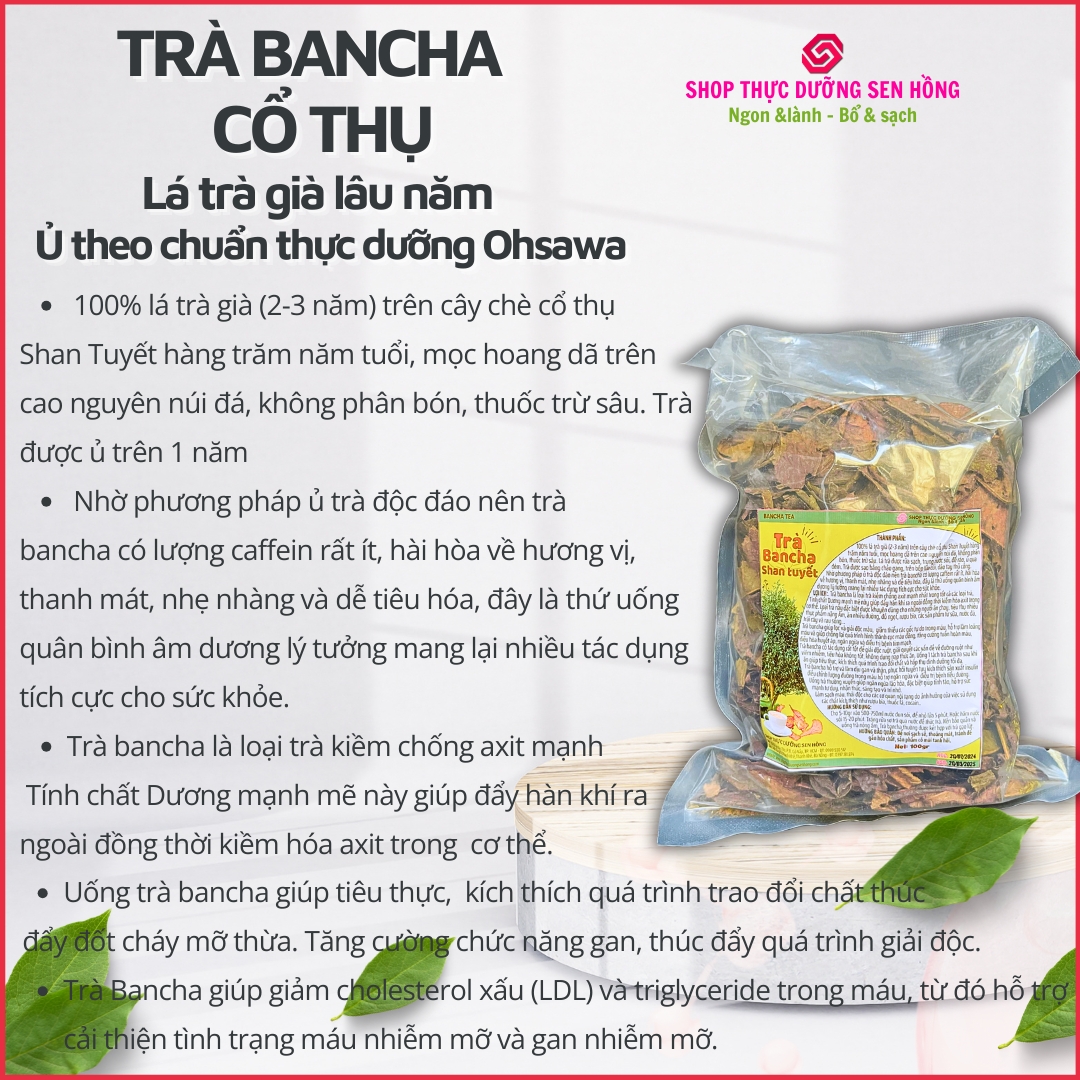 Trà bancha Shan Tuyết (100gr) Lá trà già cổ thụ