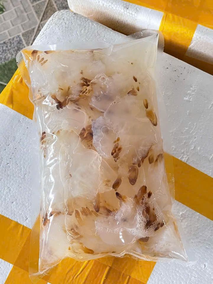Chân sứa - bịch 500g sứa luôn nước 1kg (giao HCM)
