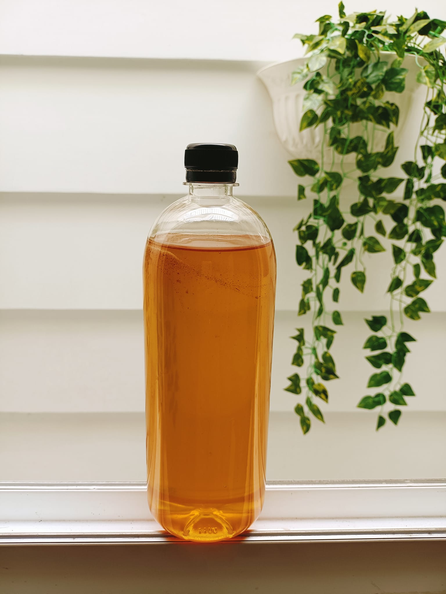 1 Lít mật ong hoa ban Tây Bắc - tự nhiên - nguyên chất
