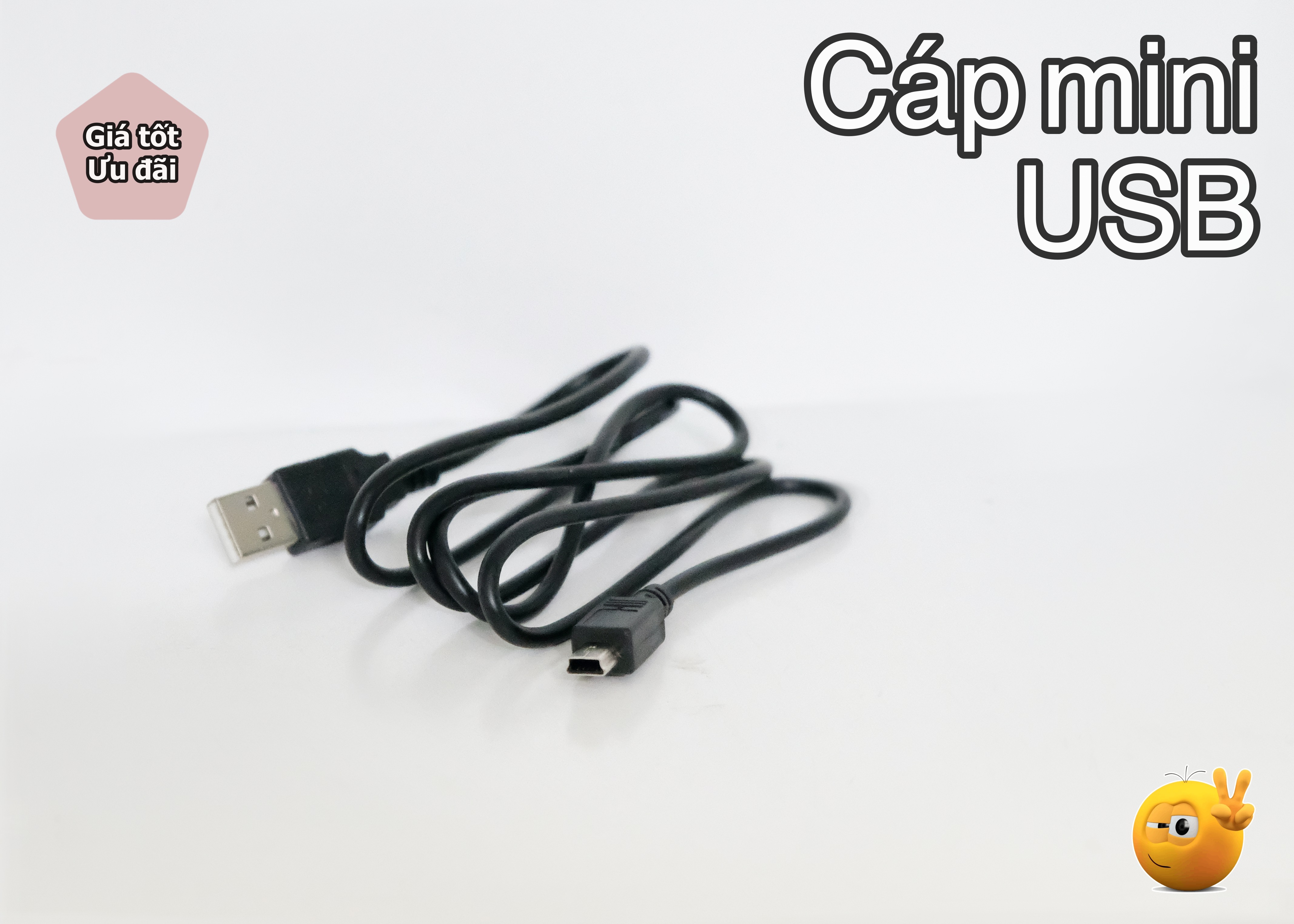 Cáp to, cáp mini usb blackberry bb cổ, bb 8800, 8700, 9000, 8707, 8830, bb 7290, 8100, 8120