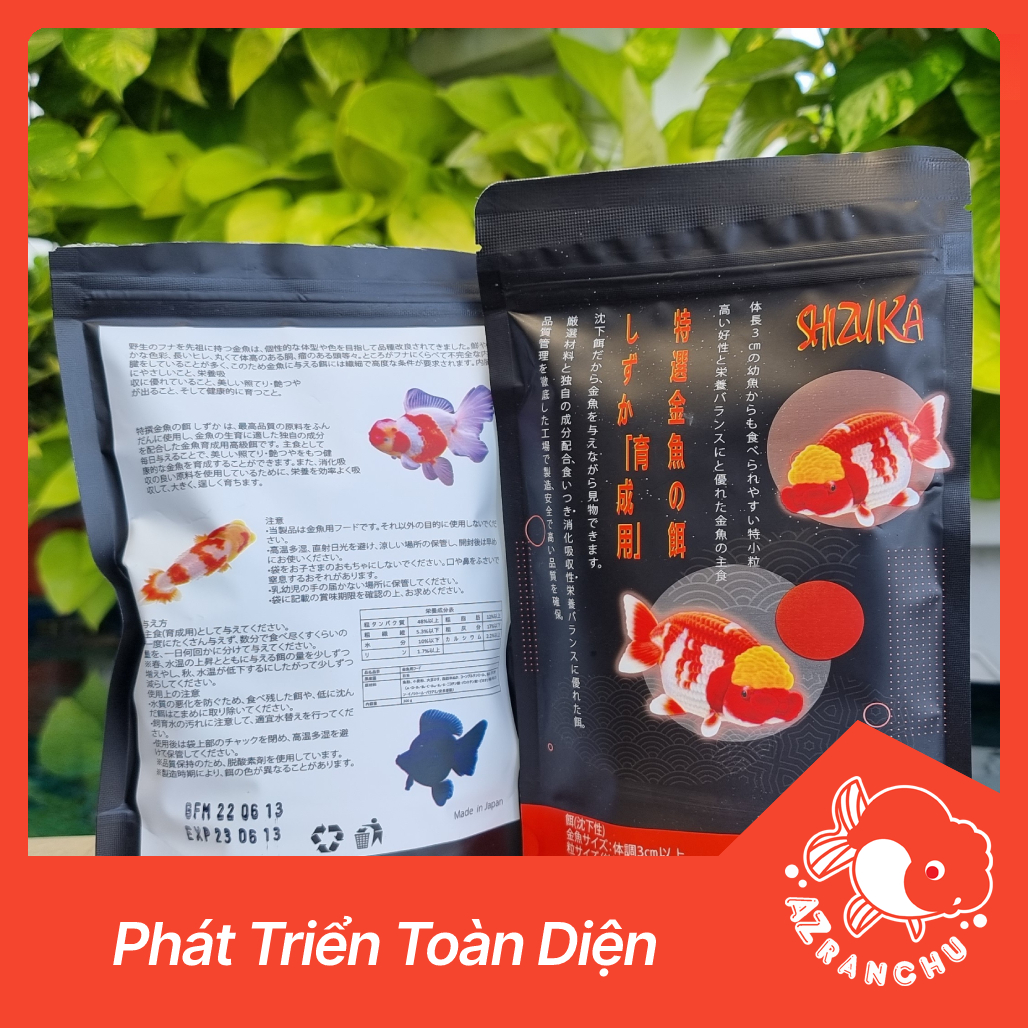 Thức ăn cá shizuka | cám phát triển toàn diện cho cá vàng - azranchu