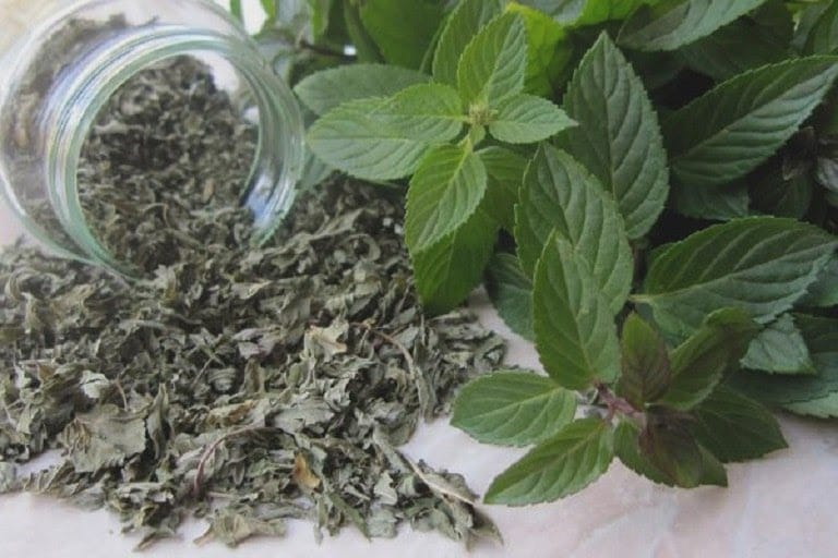 Bạc hà cây lá 100g