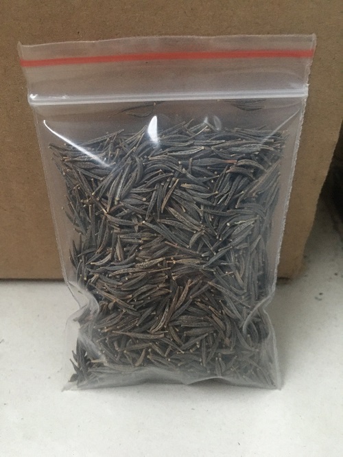 Hạt giống hoa sao nhái, hoa cánh bướm mix màu # hạt giống nhanh nảy mầm_nhanh hoa_lâu tàn, hoa liên tục