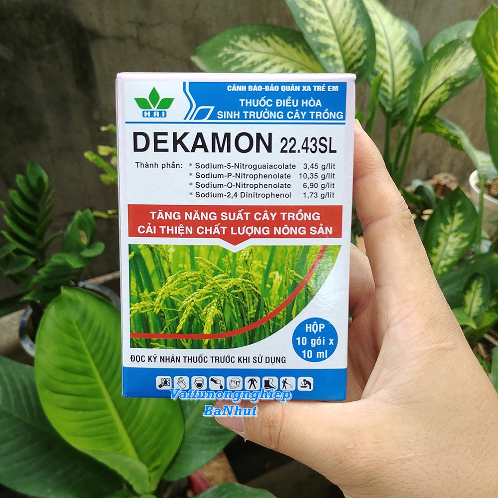 Dekamon 22,43l 10ml - chế phẩm kích thích sinh trưởng cây trồng
