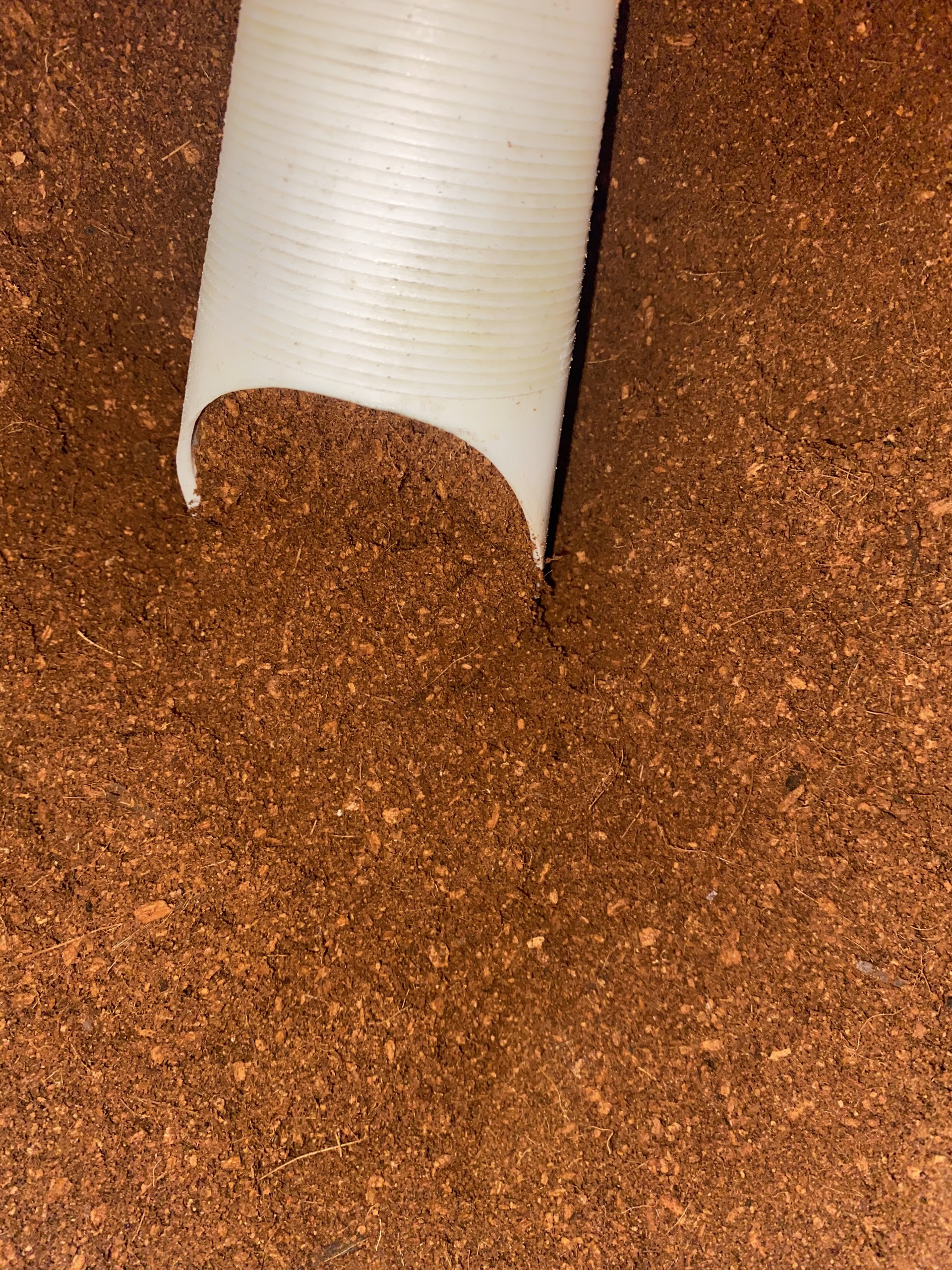 [HCM]300GRAM MỤN XƠ DỪA ĐÃ XỬ LÝ (COCOPEAT) - NGUYÊN LIỆU TRỘN ĐẤT TRỒNG SEN ĐÁ XƯƠNG RỒNG