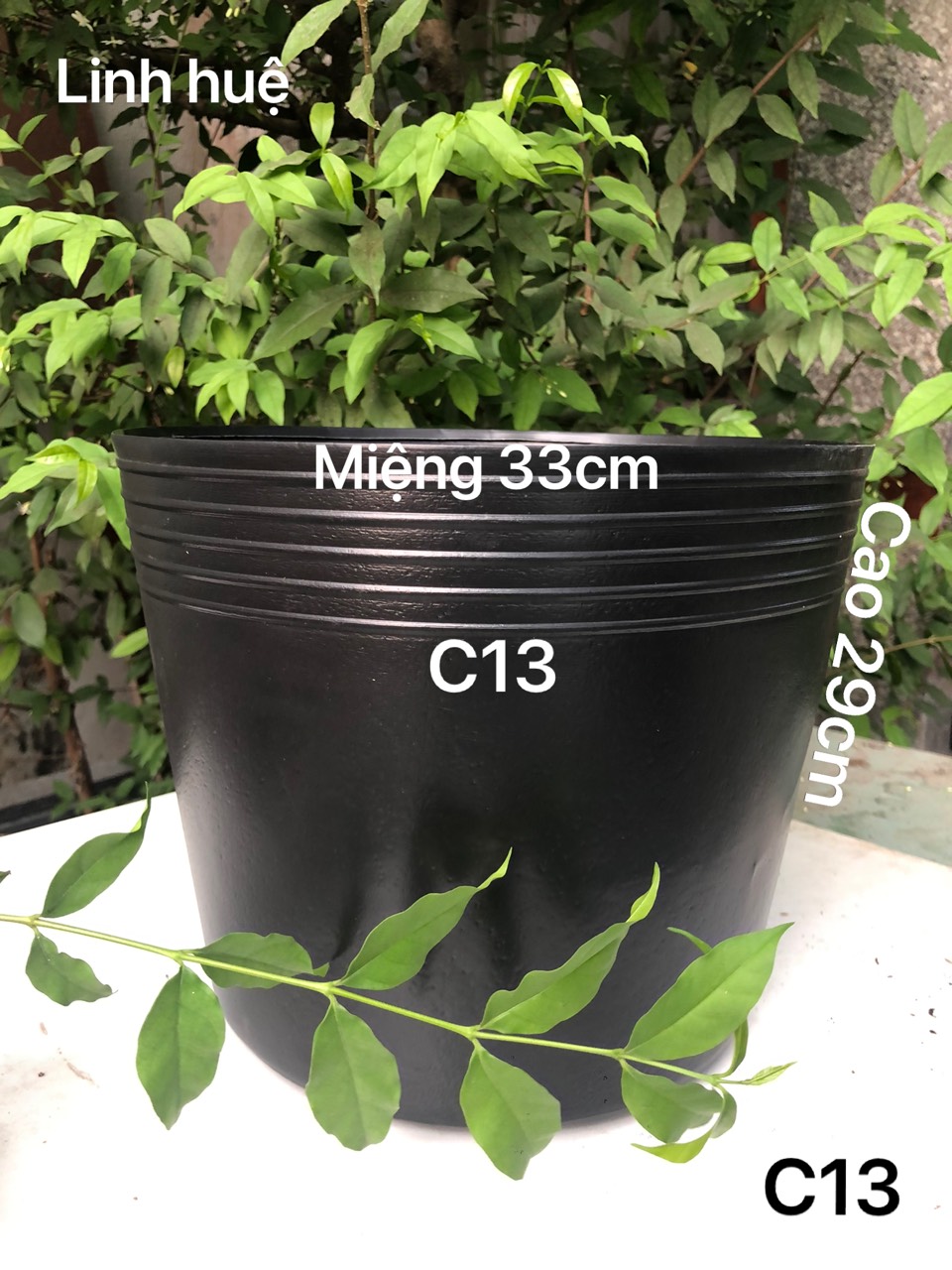 Chậu nhựa trồng cây 20 cái C13 đen loại dày dặn