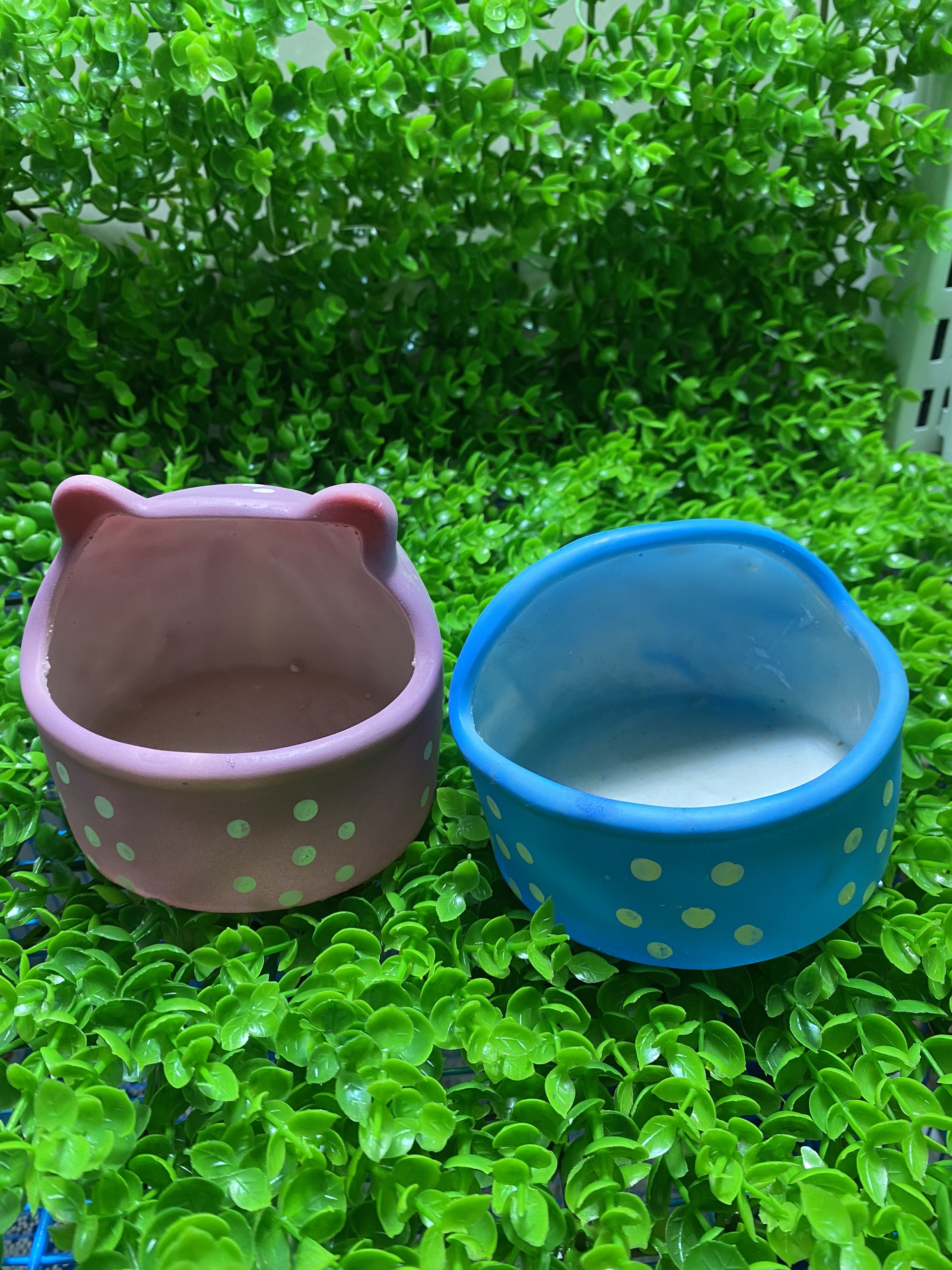 [HCM]Chén ăn lớn cho hamster