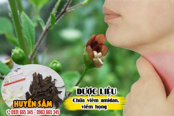 Huyền Sâm ( Hắc sâm ) 1Kg  Khô - Thảo Dược Thanh Bình