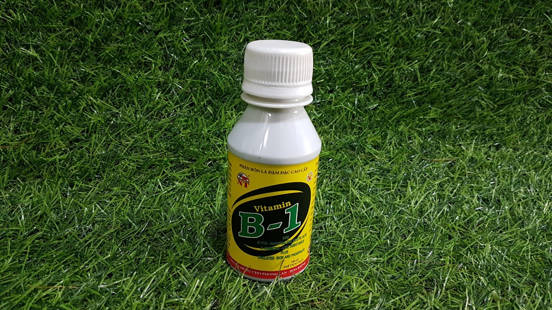 B1 có vi lượng NT cho cây xanh lá ra rễ chai 100ml