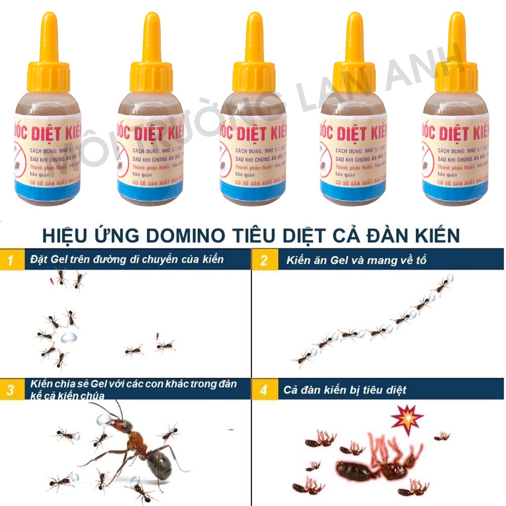 THUỐC DIỆT KIẾN GIÁN Sinh Học Diệt Kiến Gián Tận Gốc Chai 10ml Xuất xứ Việt Nam, diệt kiến, thuốc diệt kiến sinh học, diệt gián