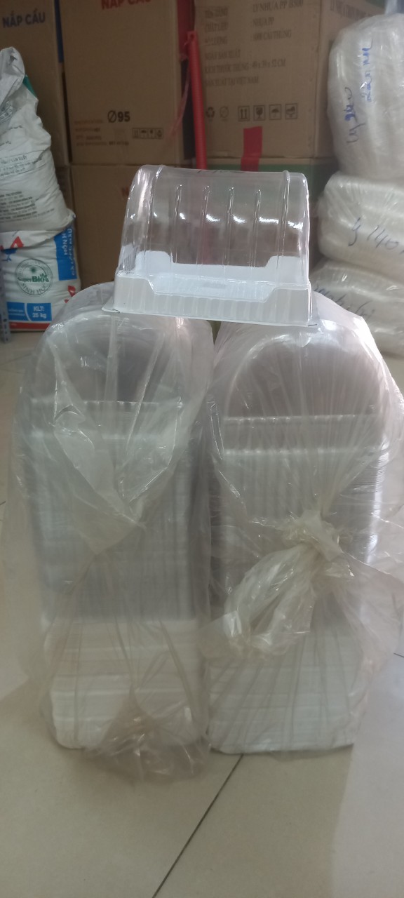 Combo 10 hộp đựng bánh bông lan cuộn h22
