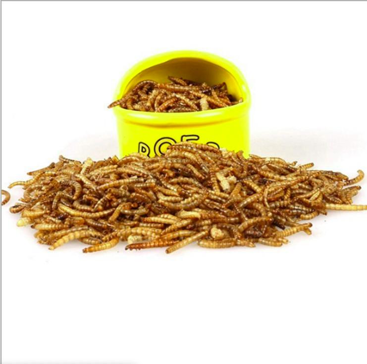 ✅Thức ăn sâu khô rang bơ cho hamster(Gói 30g)