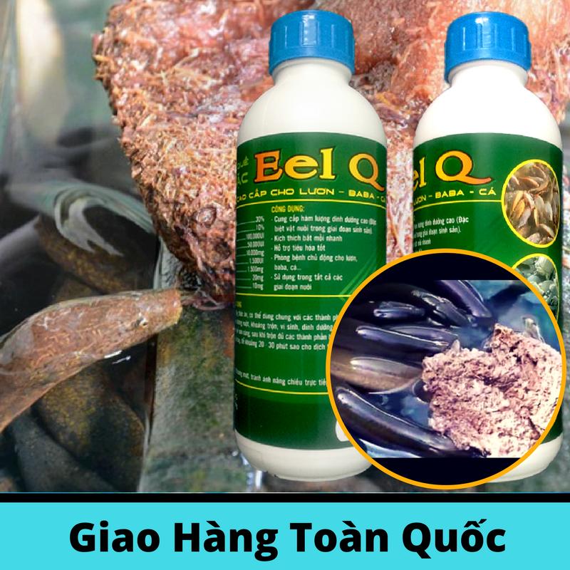 2 Chai Dịch Trùn Quế Đậm Đặc Eel Q Cho Lươn, Cá và BaBa ( 1 Lít/chai )