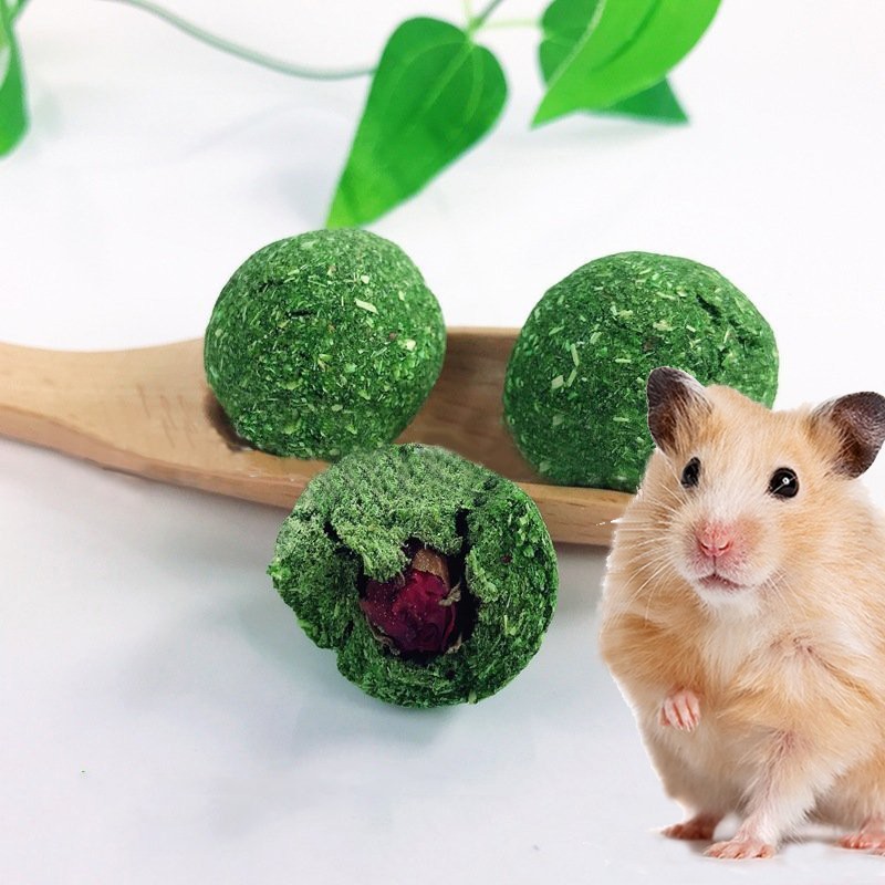 Bánh rau củ quả mài răng cho hamster,chuột lang, bọ ú , sóc