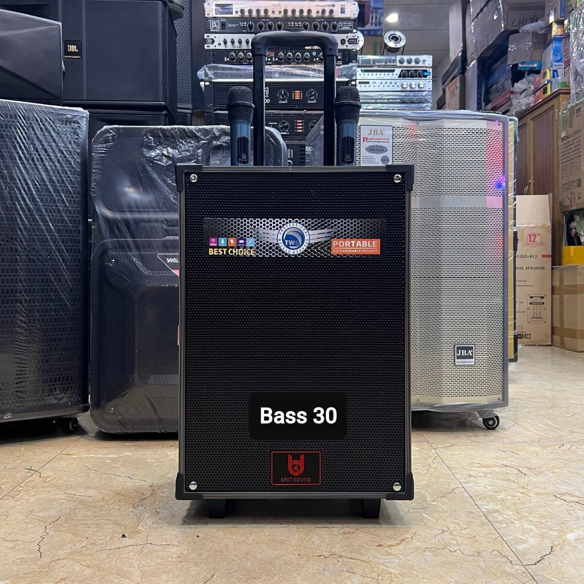 Loa kéo Karaoke Bluetooth Best Sound BD-1280: Phiên bản 2024, Bass 30, Có 2 Micro không dây đi kèm