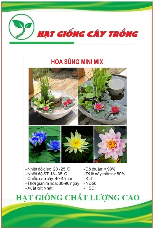 Hạt giống hoa súng mini nhiều màu ks - gói 5 hạt