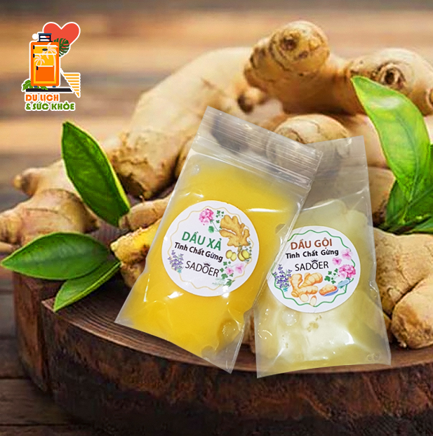 Sadoer Ginger Shampoo Conditioner travel pack