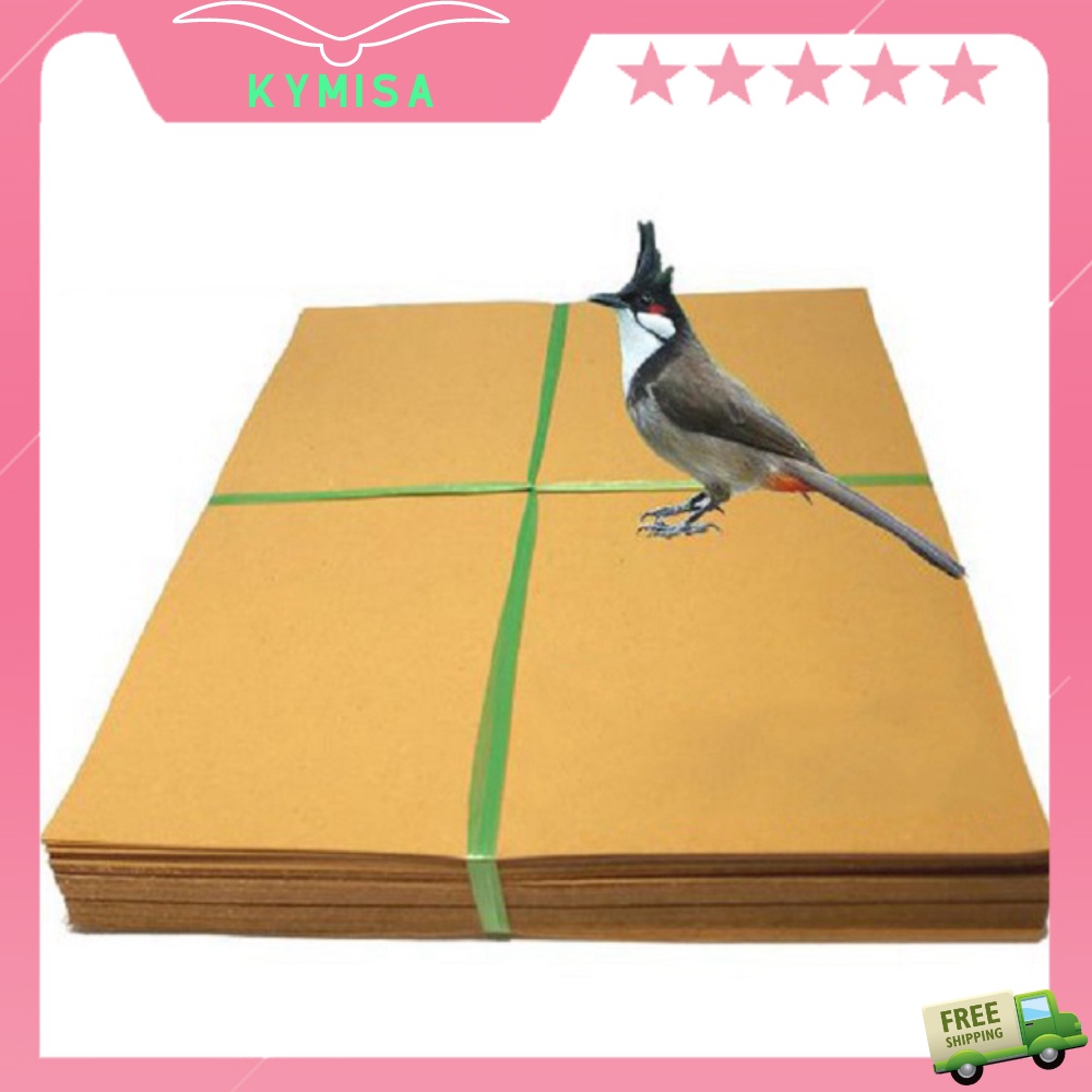 Giấy lót lồng chim Chào mào vuông 17 nan kích thước 35cm, trọng lượng 2kg.