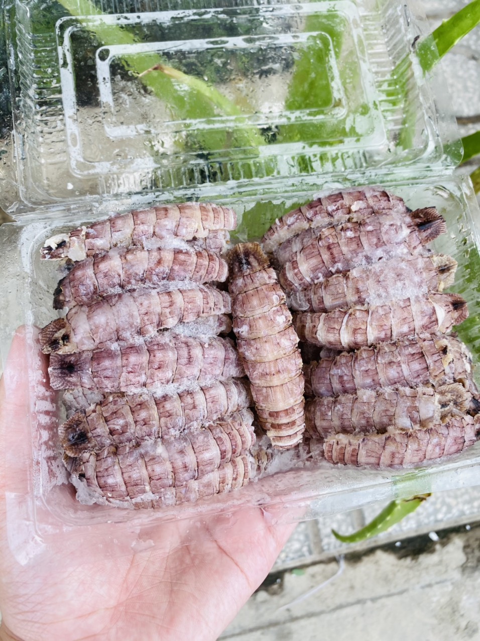 Giá sỉ 1kg tôm tít thịt size nhỏ