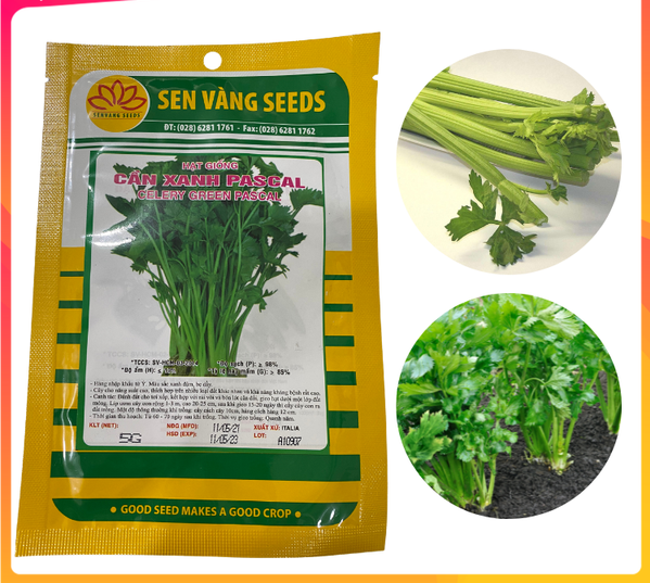 Hạt giống cần xanh pascal gói 5gr - sen vàng seeds