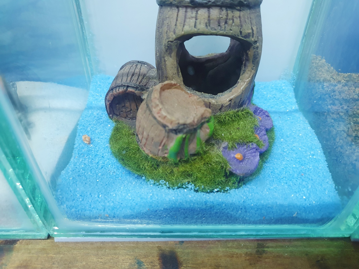 "Hoàn tiền đến 10%" 1KG CÁT THẠCH ANH XANH BIỂN TRANG TRÍ HỒ CÁ NON BỘ