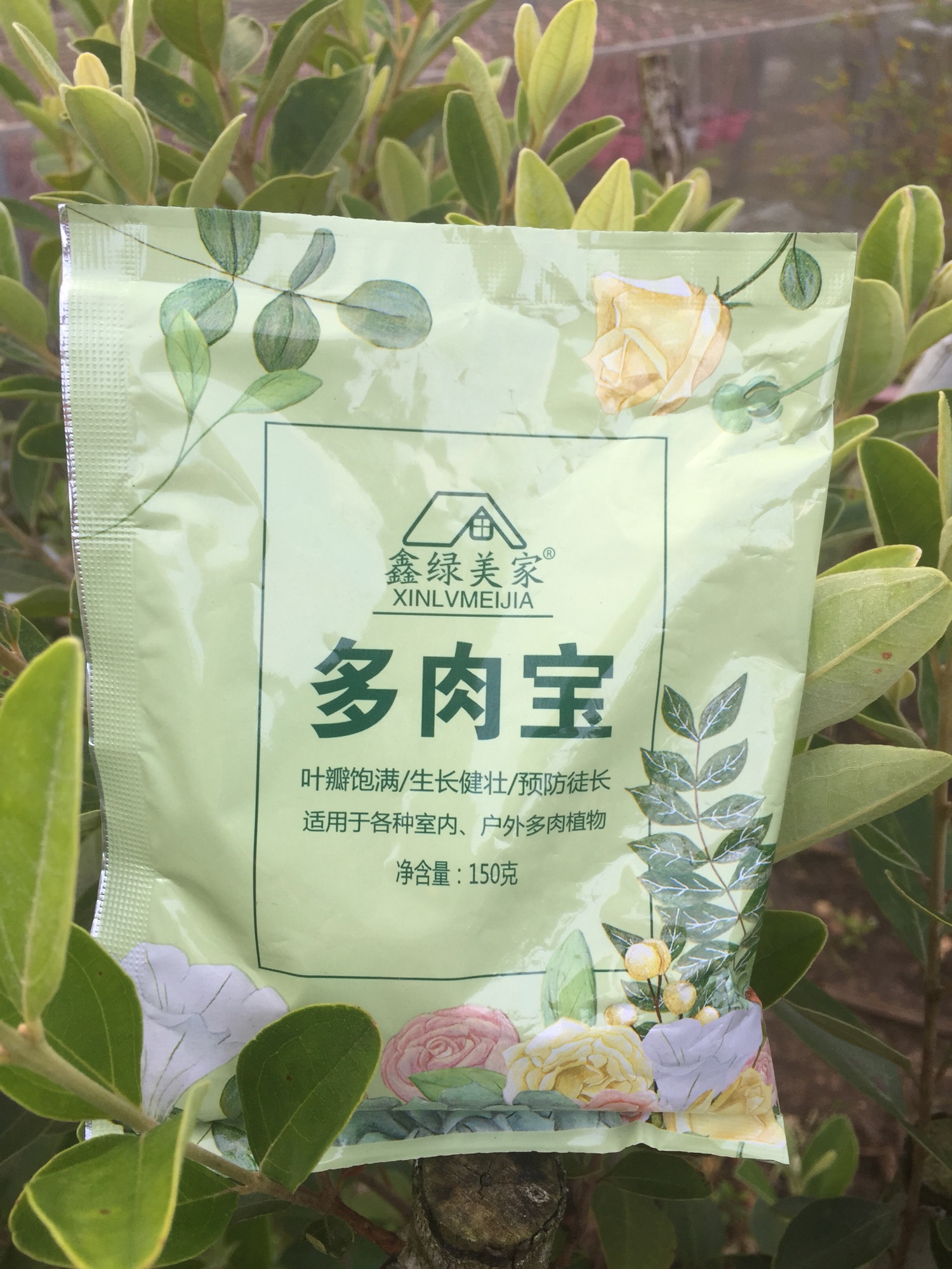 Phân bón chuyên dùng cho sen đá béo ú