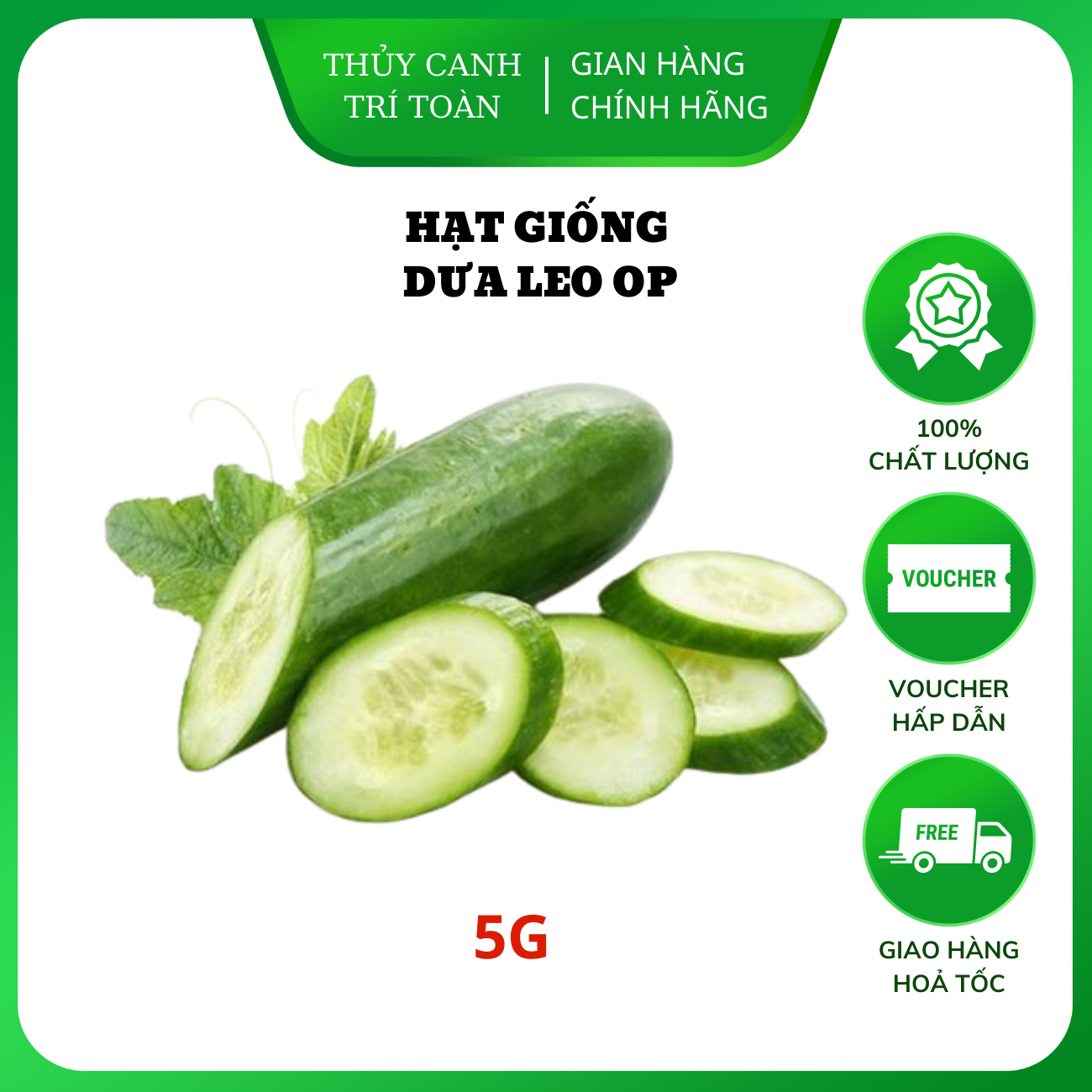 Hạt giống Dưa Leo OP trái dài, giòn ngọt, đậu quả sai - Hạt giống Rạng Đông