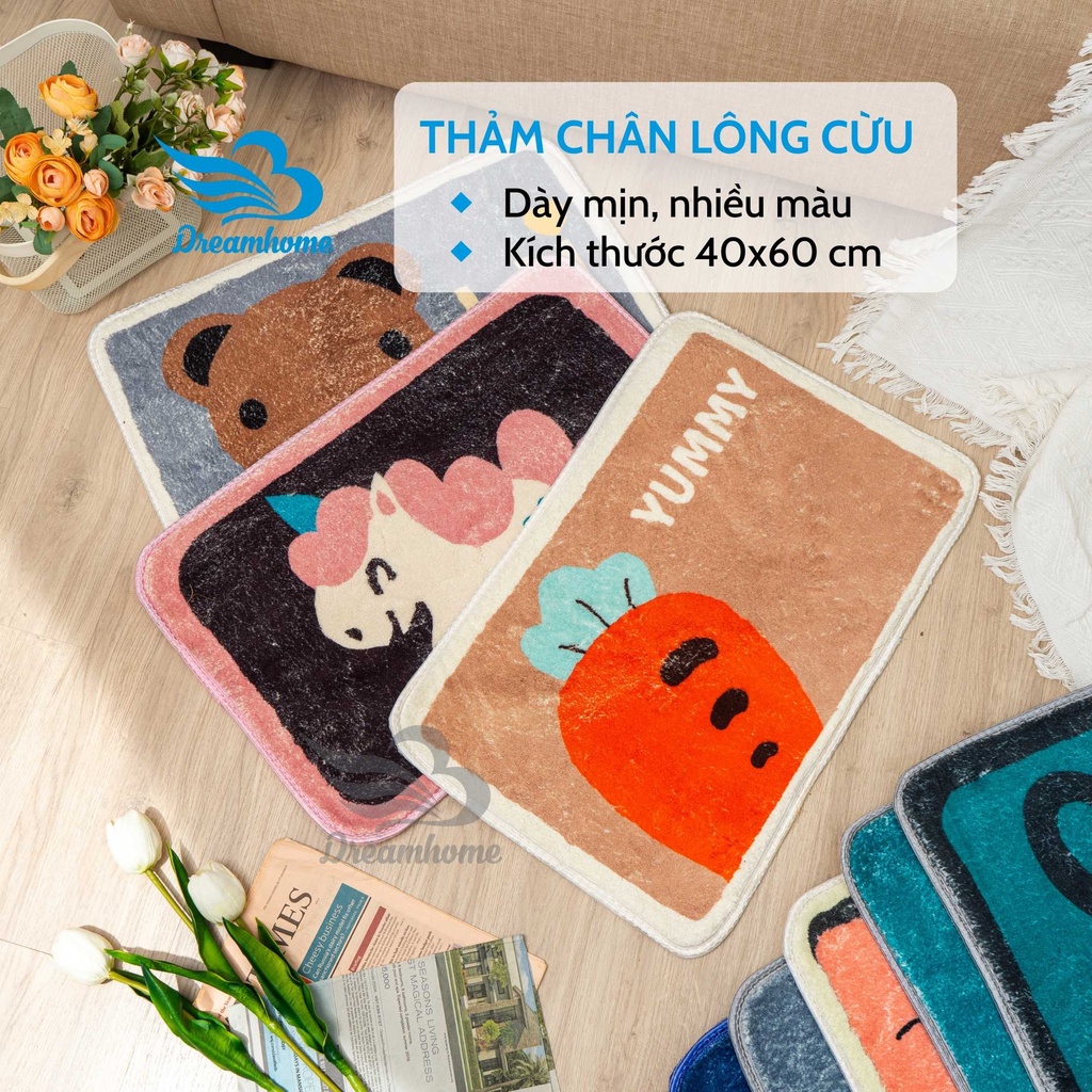 Thảm lau chân hình thú 3d lông cừu đẹp chống trượt 40x60, thảm chùi chân cao cấp nhiều màu Dreamhome